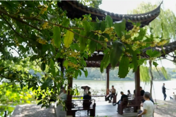 明天，浙江将迎来“打折”式降温